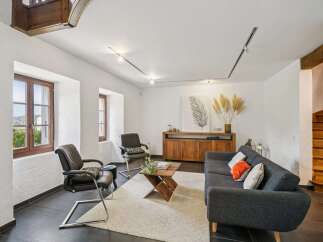 Discover this charming living room featuring a comfortable dark gray sofa adorned with accent pillows, complemented by a stylish wooden coffee table and a textured cream rug.