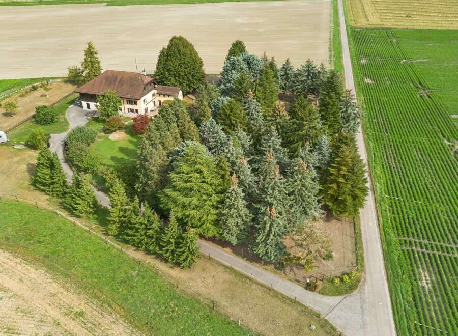 Nestled amidst lush greenery and mature trees, this property offers a serene retreat.
