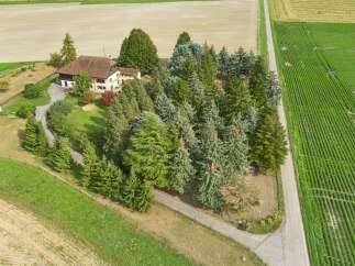 Nestled amidst lush greenery and mature trees, this property offers a serene retreat.