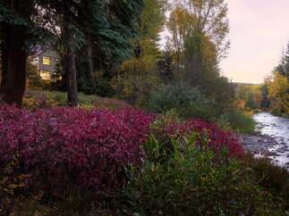 Nestled amidst a vibrant autumn forest, this charming home offers a serene retreat.