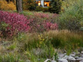 Nestled amidst vibrant autumn foliage, this charming home offers a serene retreat.
