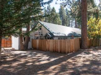 Nestled amongst tall pine trees, this charming cabin offers a serene retreat.