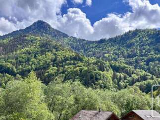 Discover this stunning property nestled amidst lush green mountains and vibrant trees, offering breathtaking natural views.