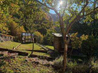 Discover this charming property featuring a quaint greenhouse and a rustic wooden shed, perfect for gardening enthusiasts.