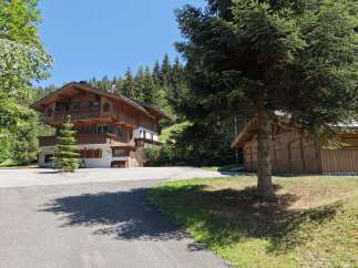 Nestled amidst lush greenery and towering pine trees, this charming wooden chalet offers a serene mountain retreat.