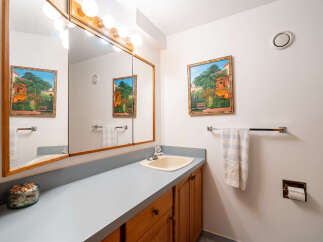 This bathroom features a spacious vanity with a light-colored countertop and wooden cabinetry, offering ample storage.
