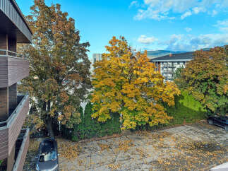 Experience the vibrant beauty of autumn from your balcony, overlooking a stunning display of fall foliage.