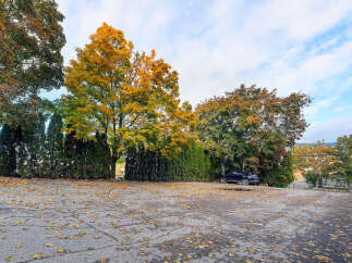 Experience the beauty of autumn with this stunning property, featuring vibrant fall foliage and mature trees.