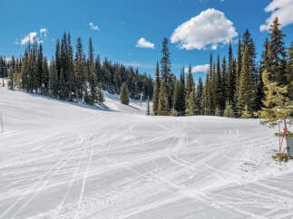 Experience the thrill of winter sports on this pristine ski slope, perfect for both beginners and seasoned skiers.