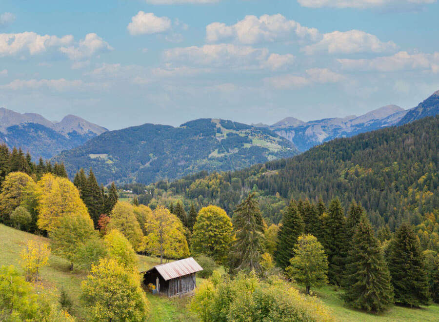 Discover this charming rustic cabin nestled amidst the vibrant autumn foliage of the mountains.