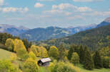 Discover this charming rustic cabin nestled amidst the vibrant autumn foliage of the mountains.