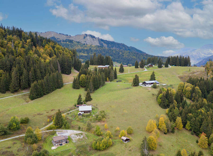 Discover this charming alpine property nestled amidst rolling green hills and a dense forest.