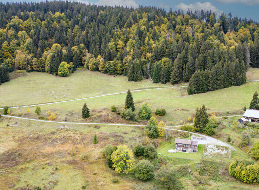 Discover this charming property nestled amidst a lush, autumnal forest.