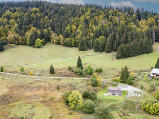 Discover this charming property nestled amidst a lush, autumnal forest.