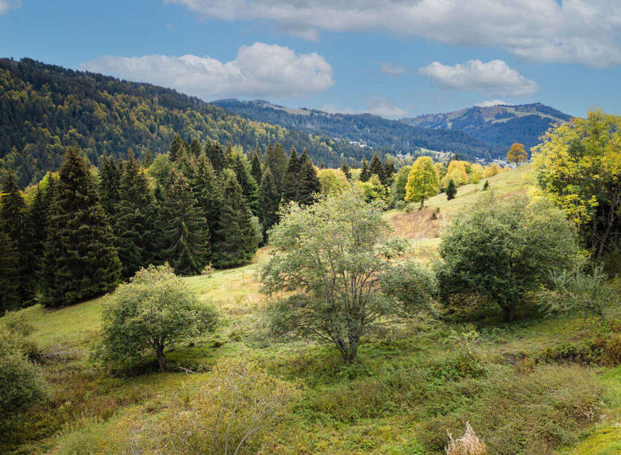 Discover a picturesque mountain landscape perfect for a serene getaway or a charming village retreat.