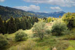 Discover a picturesque mountain landscape perfect for a serene getaway or a charming village retreat.