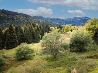 Discover a picturesque mountain landscape perfect for a serene getaway or a charming village retreat.