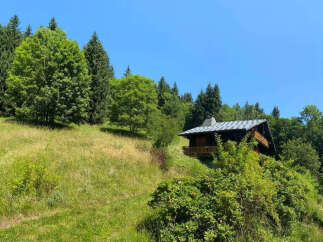 Discover this charming wooden chalet nestled amidst lush greenery and rolling hills, offering a serene mountain retreat.