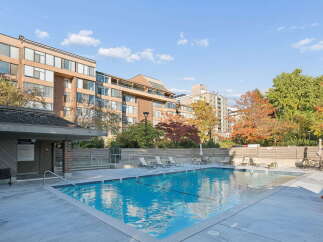 Enjoy a refreshing dip in the sparkling blue swimming pool, surrounded by lush greenery and mature trees.