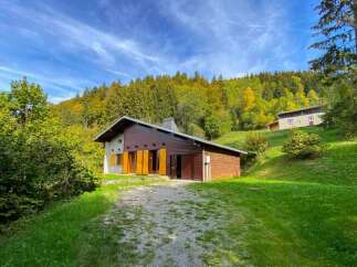 Nestled amidst a vibrant autumn forest, this charming wooden chalet offers a serene mountain retreat.