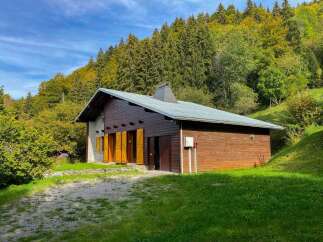 Discover this charming wooden cabin nestled amidst a lush, green forest, perfect for a serene getaway.