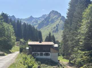 Discover this charming mountain property nestled amidst lush greenery and majestic peaks.