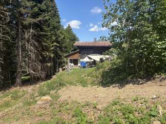 Nestled amidst lush greenery and towering trees, this charming property offers a serene mountain retreat.