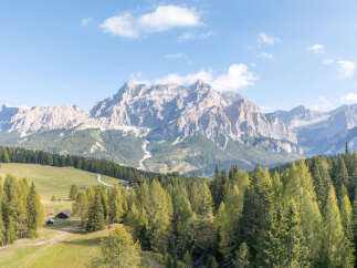 Discover breathtaking mountain views from this stunning property, nestled amidst lush green meadows and a vibrant forest.