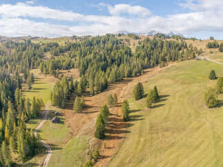 Discover this stunning alpine property, nestled amidst rolling hills and dense evergreen forests.