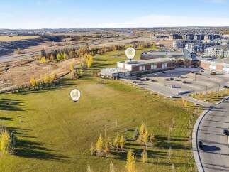 Discover this expansive green space, perfect for outdoor activities and community gatherings.