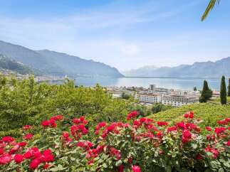 Experience breathtaking panoramic views of a serene lake and majestic mountains from this stunning property.