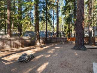 Nestled among tall pine trees, this backyard offers a private and serene escape.