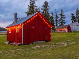 Experience rustic charm with this picturesque farm property, featuring a vibrant red barn adorned with festive string lights.