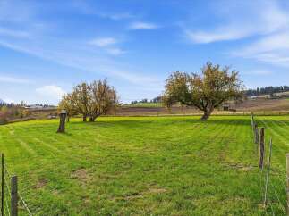 Experience the beauty of rural living with this expansive green pasture, perfect for livestock or recreational activities.