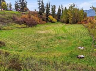 Discover this expansive, freshly mowed field, perfect for a variety of outdoor activities or potential agricultural use.