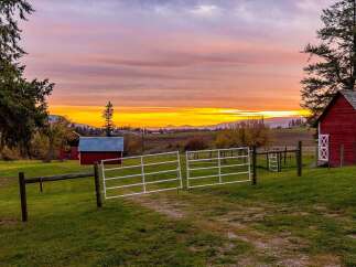 Experience the tranquility of rural living with this stunning farm property at sunset.