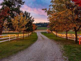 Welcome to your dream rural retreat, bathed in the warm glow of autumn and illuminated by charming string lights.