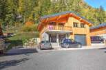 Experience modern living in this stunning wooden chalet, nestled amidst a vibrant autumn forest.