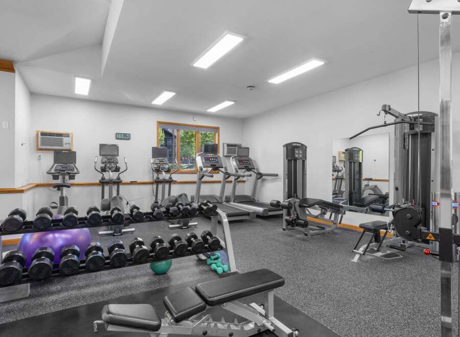 This well-equipped home gym features a variety of cardio machines including treadmills and ellipticals, perfect for your daily workout routine.