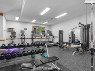This well-equipped home gym features a variety of cardio machines including treadmills and ellipticals, perfect for your daily workout routine.