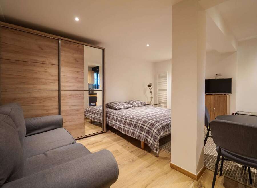 This modern studio apartment features a comfortable grey sofa and a spacious wooden wardrobe with mirrored doors.