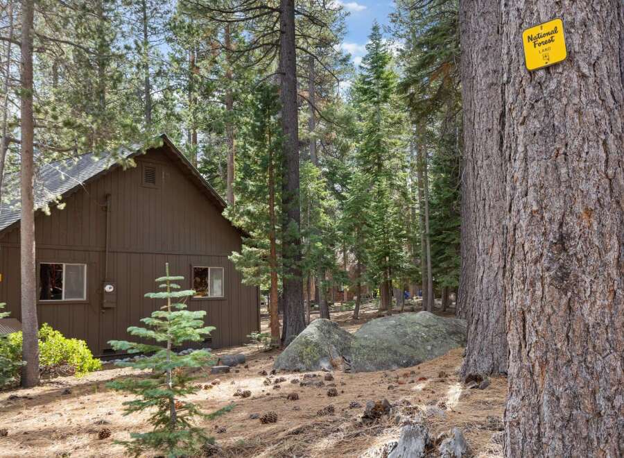 Nestled within a serene forest setting, this charming cabin offers a peaceful retreat.