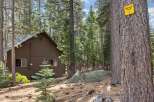 Nestled within a serene forest setting, this charming cabin offers a peaceful retreat.