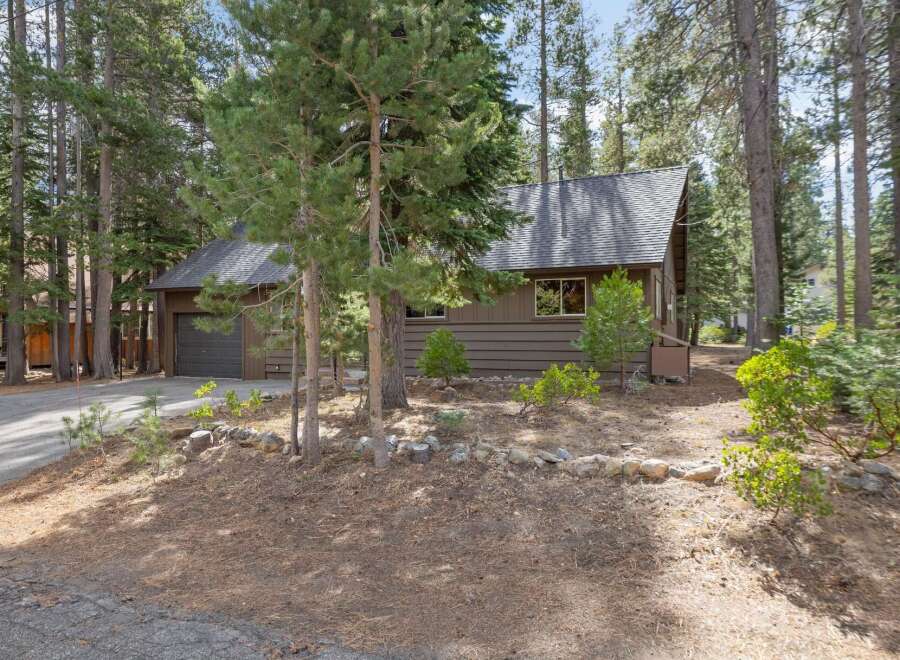 Nestled amongst tall pine trees, this charming brown home offers a serene retreat.
