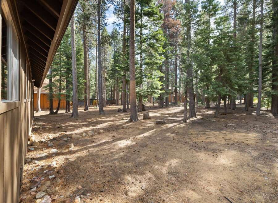 Nestled within a serene pine forest, this property offers a tranquil escape.