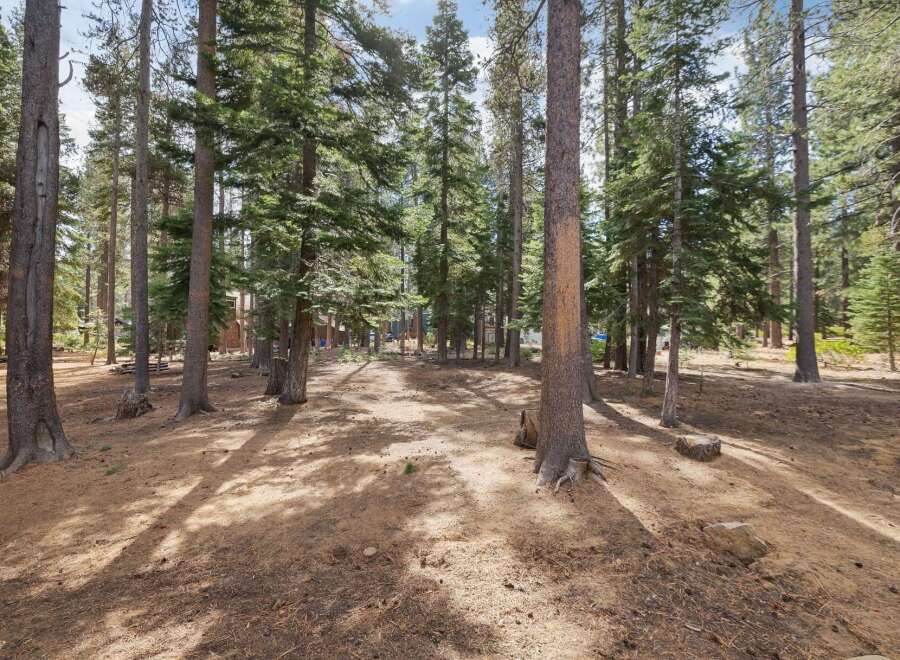 Discover your dream home nestled within a serene pine forest.