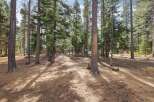 Discover your dream home nestled within a serene pine forest.