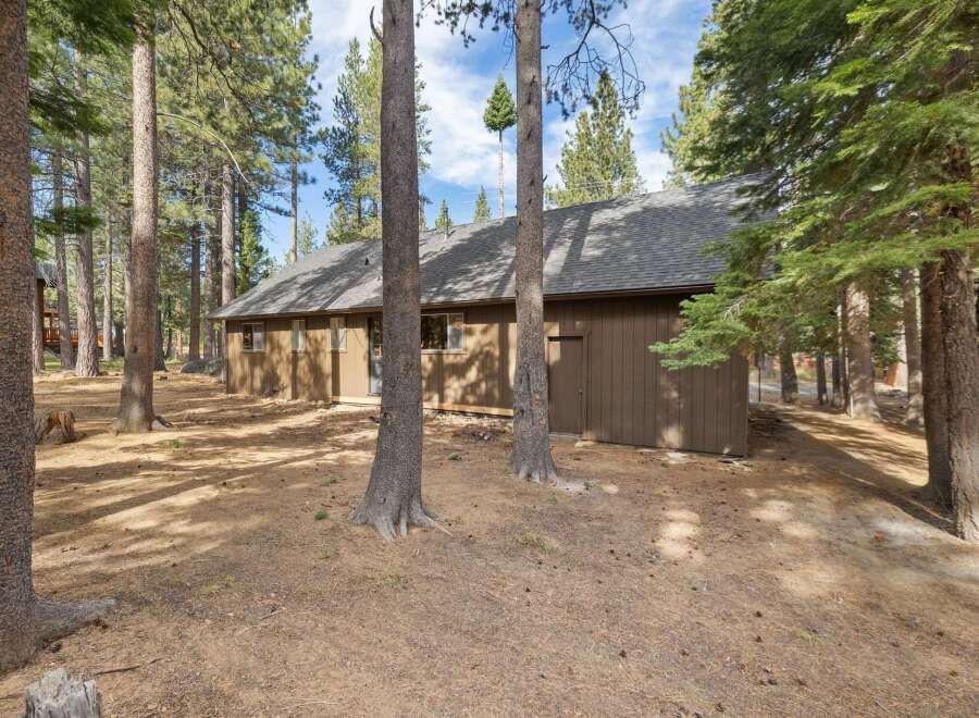 Nestled amongst tall pine trees, this charming brown home offers a serene retreat.