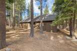 Nestled amongst tall pine trees, this charming brown home offers a serene retreat.