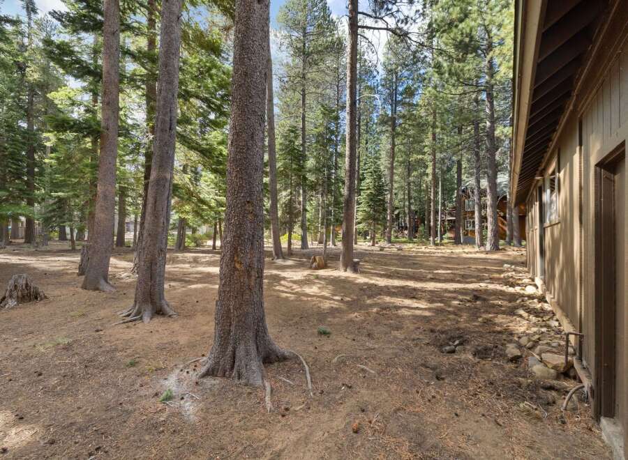 Nestled amongst towering pine trees, this property offers a serene and private retreat.